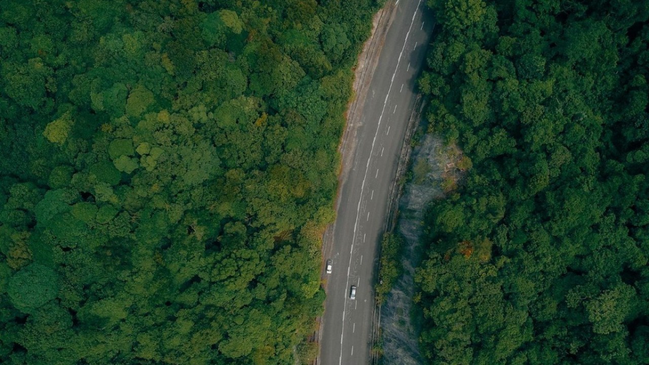 Kako osiguranje vozila pomaže u slučaju naleta na divljač